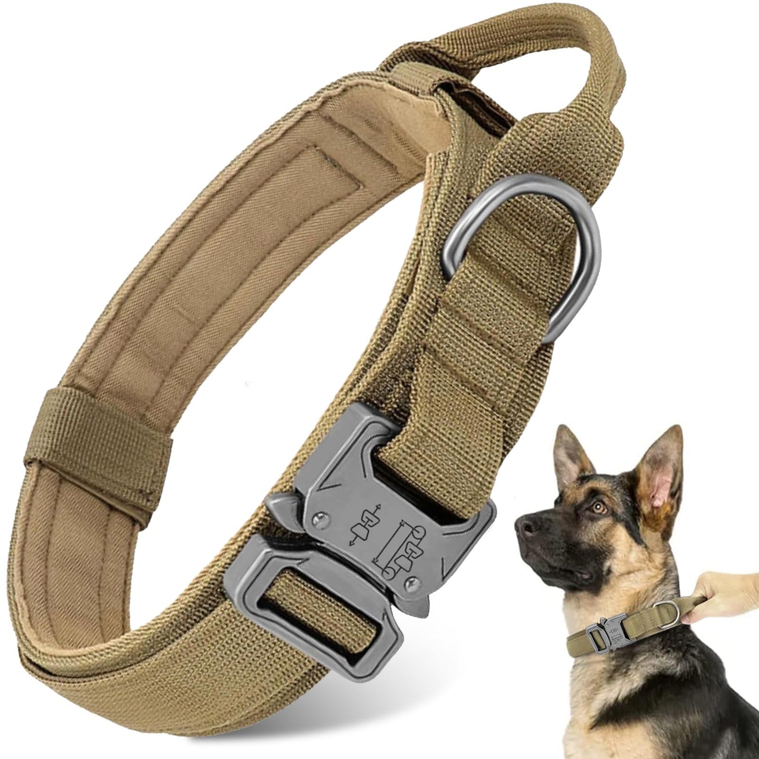 Dog Collar